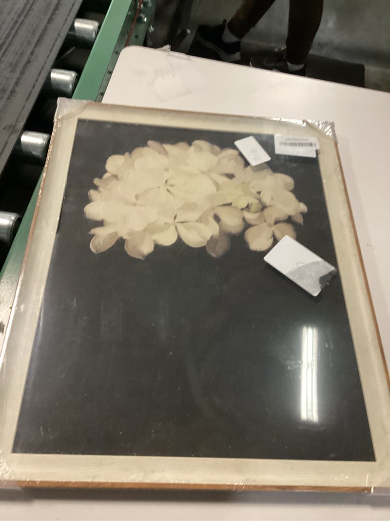 Condition photo showing Good Condition for InSimSea Framed Canvas Wall Art Decoration Canvas Wall Art Room Decor, White Hydrangea Oil Painting Canvas Prints, Bedroom Bathroom Wall Pictures Flower Artwork Office Floral Wall Decor 12x16In White Hydrangea 16"L x 12"W