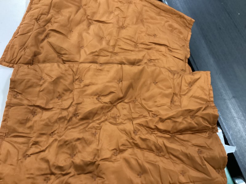 Condition photo showing New/Like New for bamboo dream quilted sham set, standard, terracotta