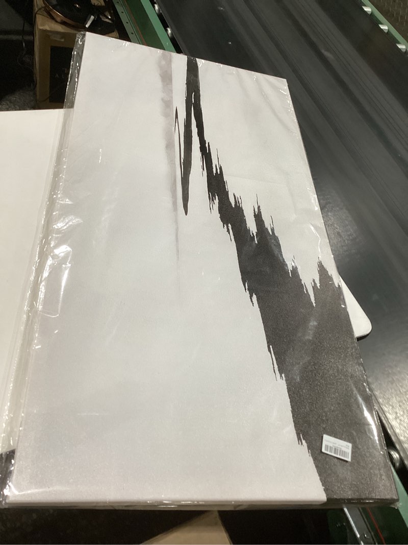Condition photo showing New/Like New for sdya black and white pictures for wall decor minimalist canvas painting 48x24 hanging decor for bedroom large wall art for office white 48" x 24" x 3p