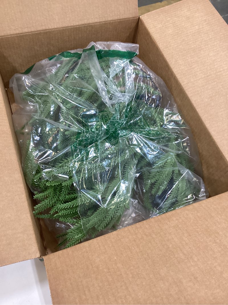 Condition photo showing Good Condition for Brightown Pre-lit Christmas Garland with Lights, 6 Feet 20 LED Lighted Green Pine Leaves Garland Decorated, Battery Operated, Indoor & Outdoor Christmas Lights for Mantle Fireplace Stairs Wall Door Norfolk Pine 1 Pack