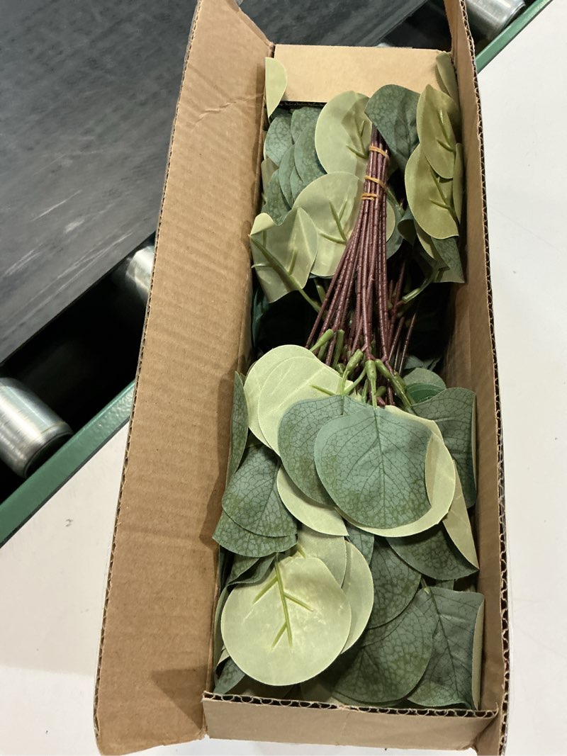 Condition photo showing New/Like New for giegxin 90 pcs 3 kinds mixed artificial eucalyptus leaves stems bulk silver dollar leaves picks dried eucalyptus bundle faux spray for wedding vase bouquet floral arrangement (green) green 90