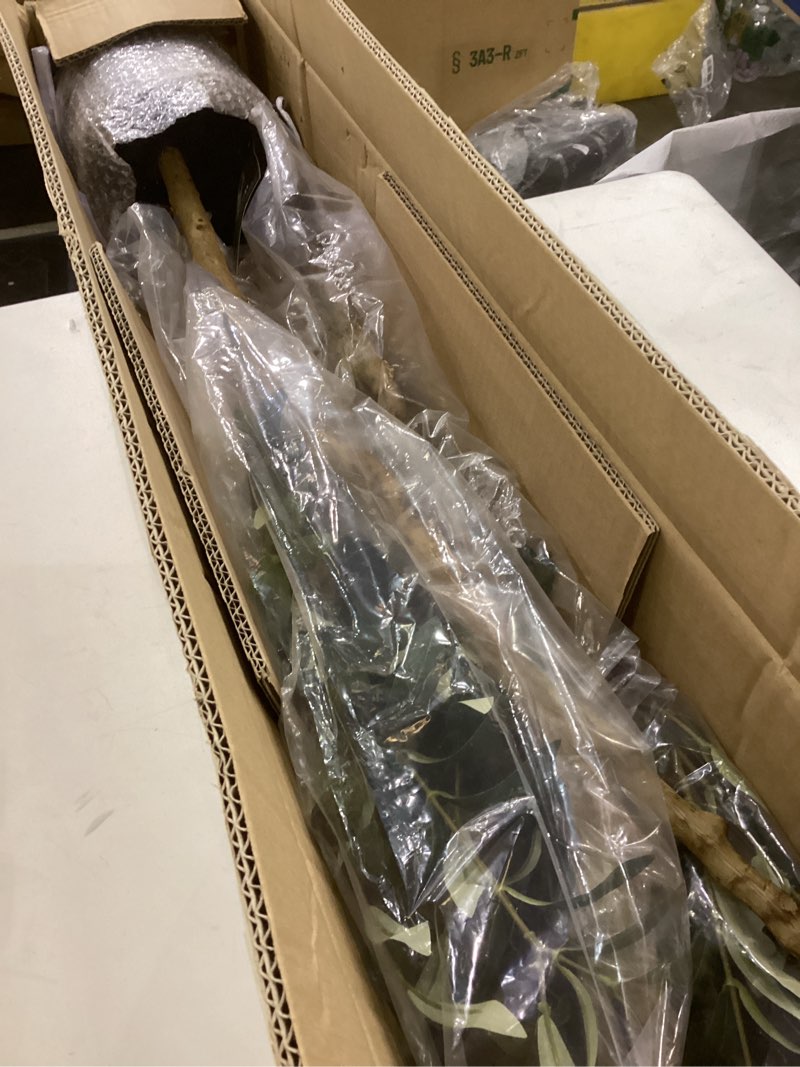 Condition photo showing Good Condition for Artificial Olive Tree, 6FT Tall Fake Silk Plants with Natural Wood Trunk Faux Potted Tree for Home Decor Indoor Office Porch, Set of 1 1 6ft