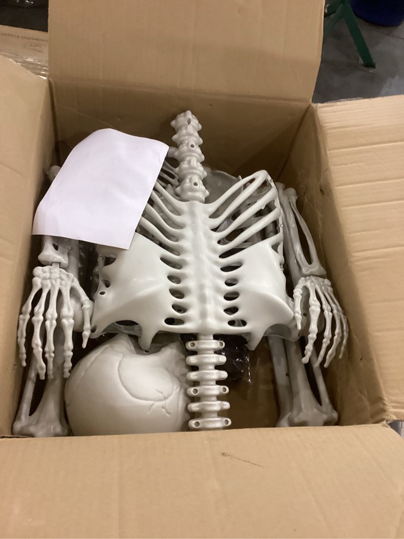 5.4FT Halloween Full Body Skeleton Decorations with Glowing Eyes, Life Size Skeleton with Movable Jo