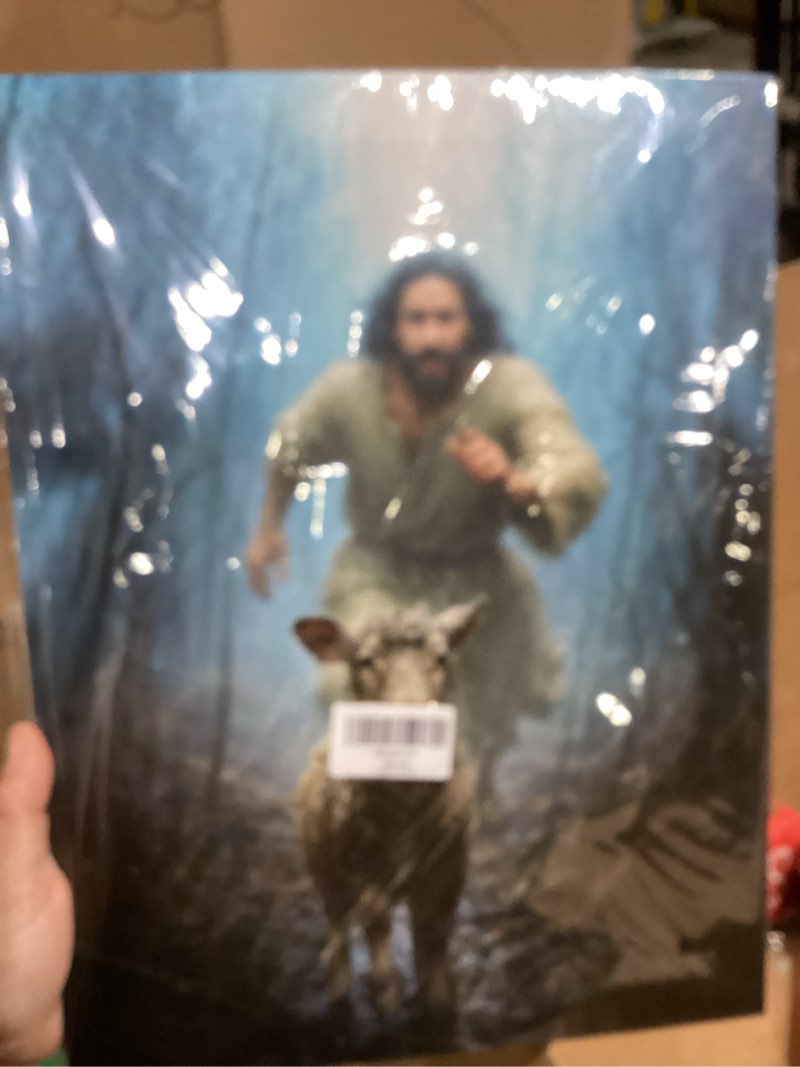Condition photo showing New/Like New for Jesus Protecting Lamb Christian Wall Art Framed Canvas Print Religious Decor for Home Living Room Bedroom Faith-Based Inspirational Gift 12x16 inch 16"L x 12"W Jesus-2