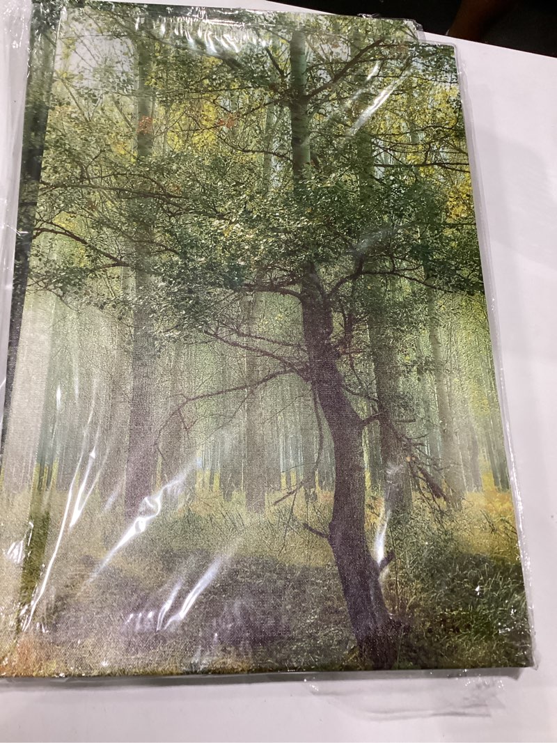 Condition photo showing As Is for tree forest green wall art, set of 3, bent 