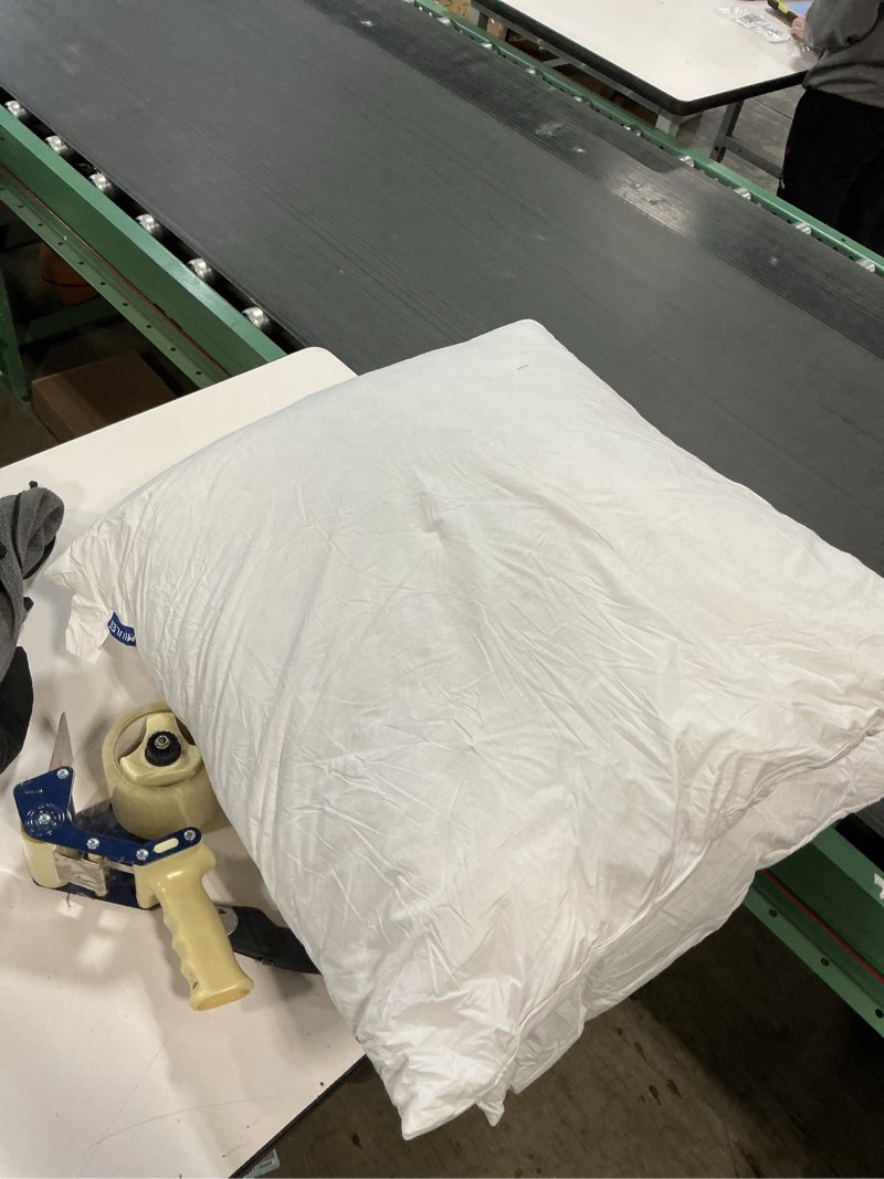 Condition photo showing As Is for Similar MIULEE Natural Feather Down Throw Pillow Inserts 20 x 20 (Set of 2, White), Décor Pillow for Couch, Chairs, Office, Apartments 20x20 Inch (Pack of 2) Classic White