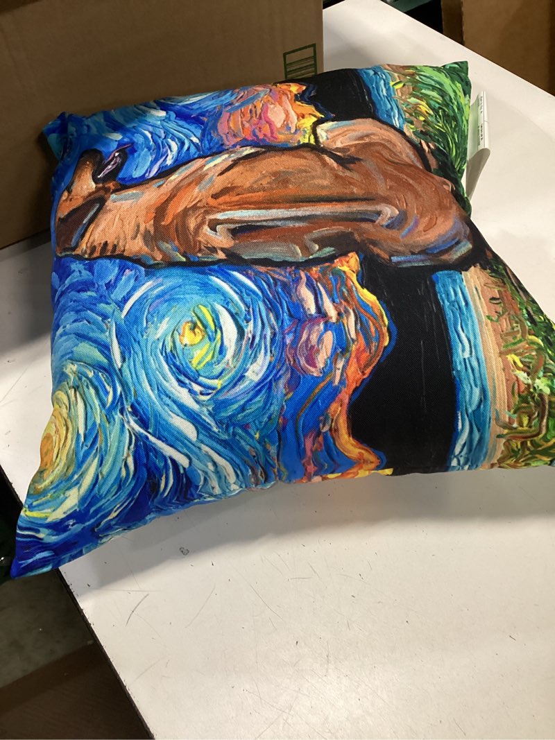 Condition photo showing Good Condition for Rhodesian Ridgeback Starry Night Dog Lover Pet Artwork Throw Pillow 18x18