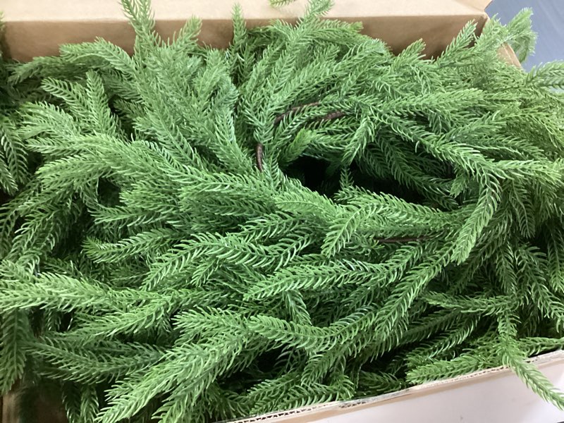 Condition photo showing As Is for 2Pcs 6FT Norfolk Pine Garland Christmas Dense Winter Pine Garland Green Artificial Faux Greenery Real Touch Garlands for Mantle, Wall, Table, Home Xmas Holiday Decor 6ft-2pcs