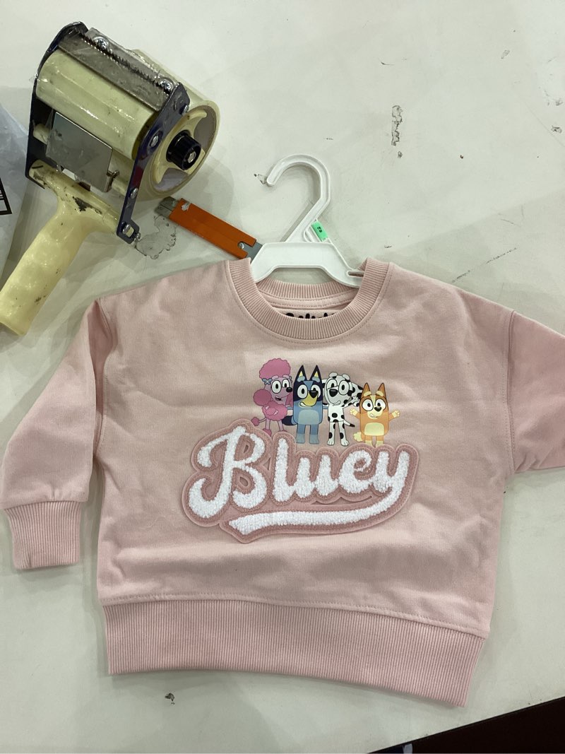 Bluey sweatshirt