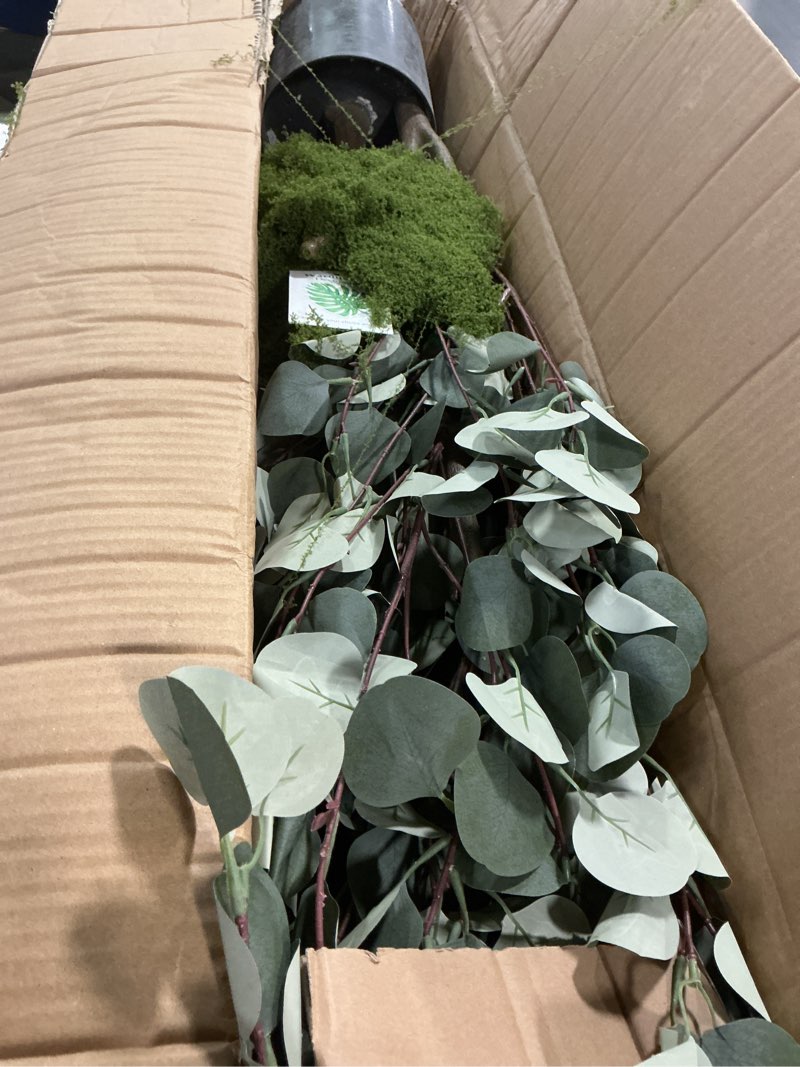 Condition photo showing Good Condition for Artificial Eucalyptus Tree, 6ft Tall Fake Eucalyptus Plant with Basket, Green Silver Dollars Silk Leaves Faux Tree for Home Office Livingroom Floor Decor Indoor