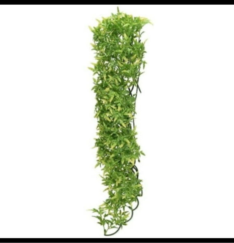 Zoo Med Natural Bush Bolivian Croton Plant Large