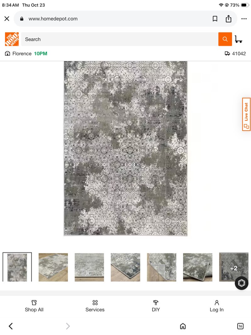  Galleria Beige/Gray 5 ft. x 8 ft. Oriental Abstract Distressed Polyester Indoor Area Rug