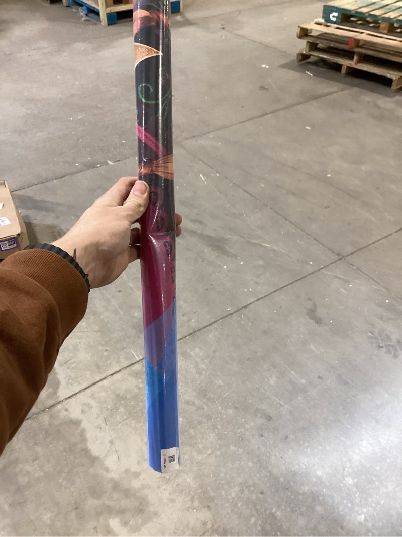 Condition photo showing As Is for Disney Frozen - Sisters 10th Anniversary Wall Poster, 34L" x 22.4W", Premium Unframed Version Premium Unframed Version 34"L x 22.4"W