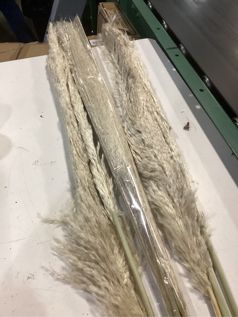 Condition photo showing Good Condition for 10pcs 40'' pampas grass tall decor - pompas floral, tall pampas grass for floor vases, living room floor, floor plants, plumas para, and grass wall decor 10pcs-nature-40"
