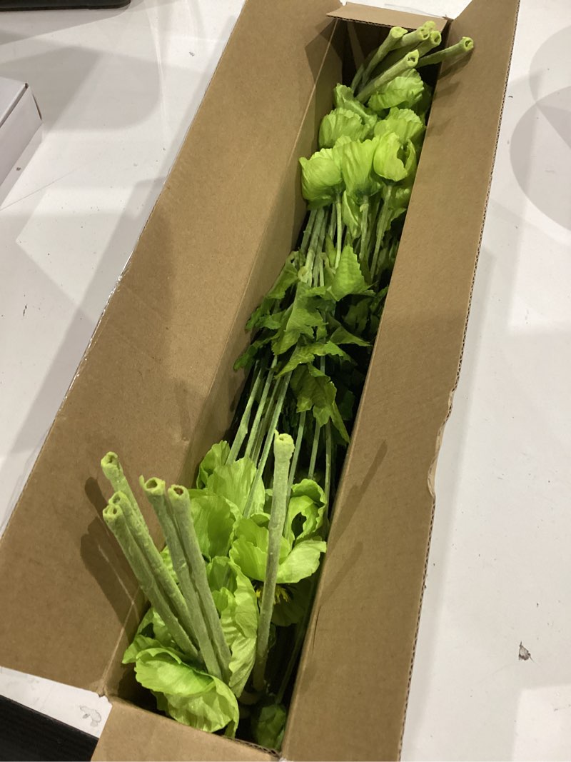 Condition photo showing Good Condition for atfl green poppy flowers artificial bouquet for wedding,12 pcs fake faux silk poppies bulk for home decor table centerpieces floral arrangement(23.5‘’, green) green 12