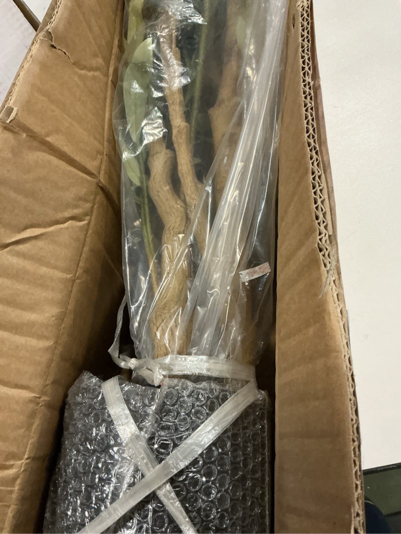 Condition photo showing Good Condition for Bellacat Faux Olive Tree 7ft?Olive Trees Artificial Indoor with Natural Wood Trunk and Realistic Leaves and Fruits. 7 Feet(84in) Fake Olive Tree for Home House Office Décor. 1 7ft