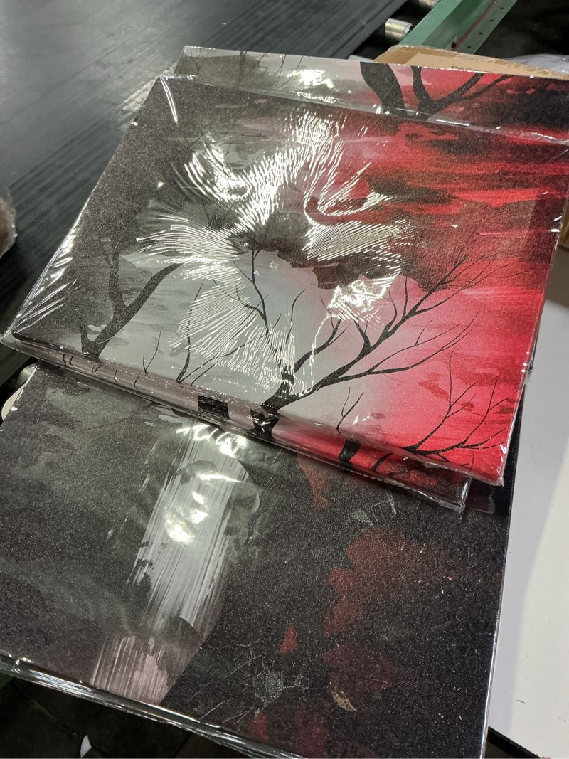 Condition photo showing Good Condition for sechars black and white red wall art decor abstract tree painting prints vertical canvas prints fram