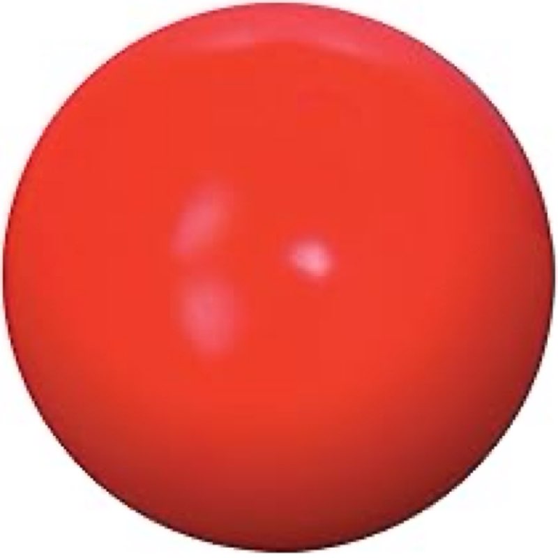 Virtually Indestructible Best Ball for Dogs, 10-inch