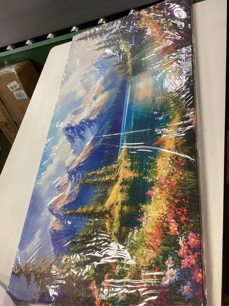 Condition photo showing New/Like New for crmotu Spring Landscape Wall Art, Snow Mountain Lake Large Artwork, Colorful Meadow Wildflower Canvas Pictures, Nature Wilderness Paintings Wall Decor Living Room Bedroom Kitchen Farmhouse 20x40 Inch 40"L x 20"W Spring Beauty