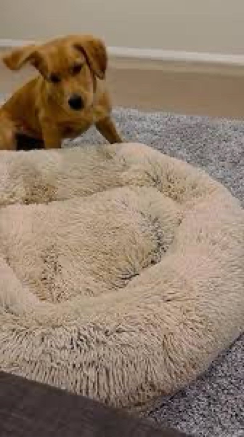 SAVFOX Calming Anti-Anxiety Dog Bed - Plush Donut for Small, Medium, Large & X-Large Dogs - Soft Fuzzy Comfy Faux Fur Washable Cuddler Pet Bed - Multiple Sizes XS-XL