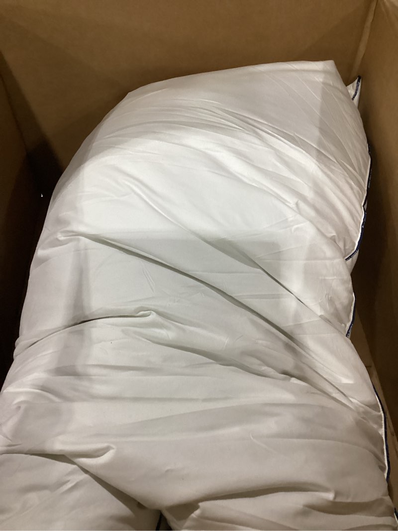 Condition photo showing Good Condition for pacific coast goose feather and down bed pillows standard size set of 2, hotel pillow for sleeping, downproof, soft, fluffy, 100% cotton shell