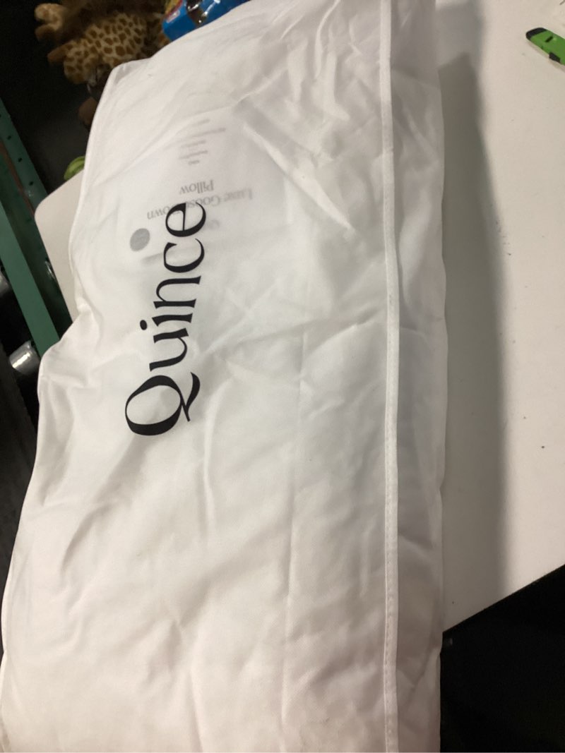 Condition photo showing As Is for quince luxe goose down pillow