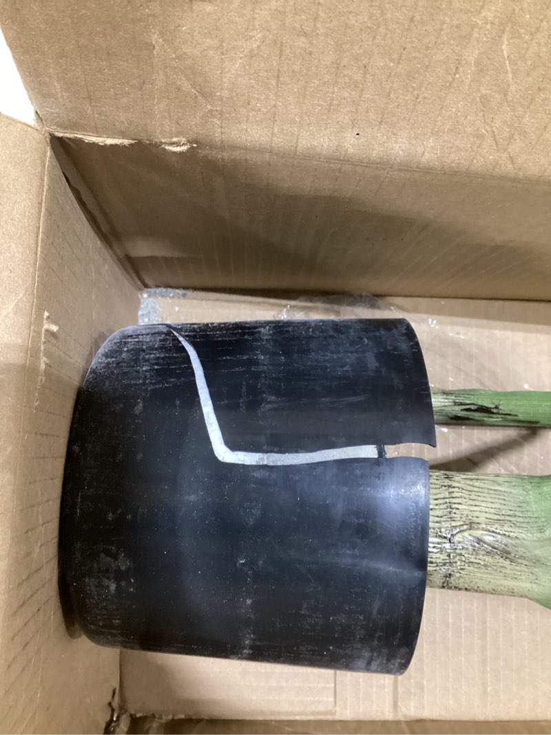 Condition photo showing As Is for Faux House Plant