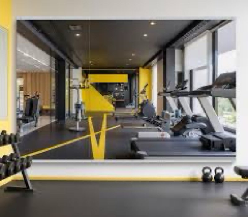 (53) Home Gym Mirror - 80x40 Inch, 2PCS Frameless Tempered Glass Full Body Mirror for Wall Mount - Ideal for Yoga, Workout, Bedroom, Dance Studio (Silver) Amazon's Choice