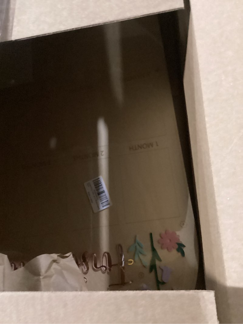 Condition photo showing New/Like New for goose first year photo board - newborn 1 to 12 months photo display,goose 1st birthday photo wooden board,one goose monthly milestone photos,flower leaf goose party photo board