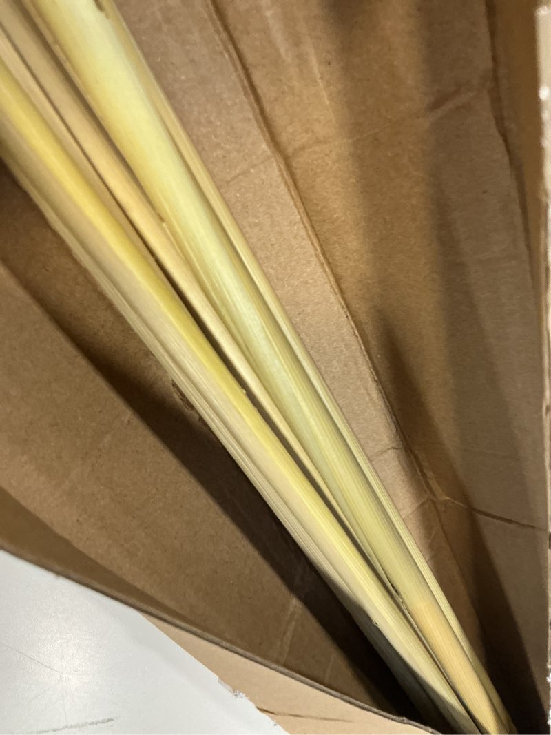 Condition photo showing Good Condition for 55" inch Scarcity Natural Pampas Grass Decor Tall, pompas Grass, Tall Pampas Grass for Wedding, Party, Farmhouse, Boho Home Decor