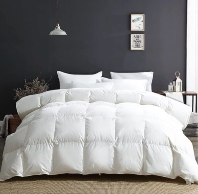 White down comforter (size unknown)