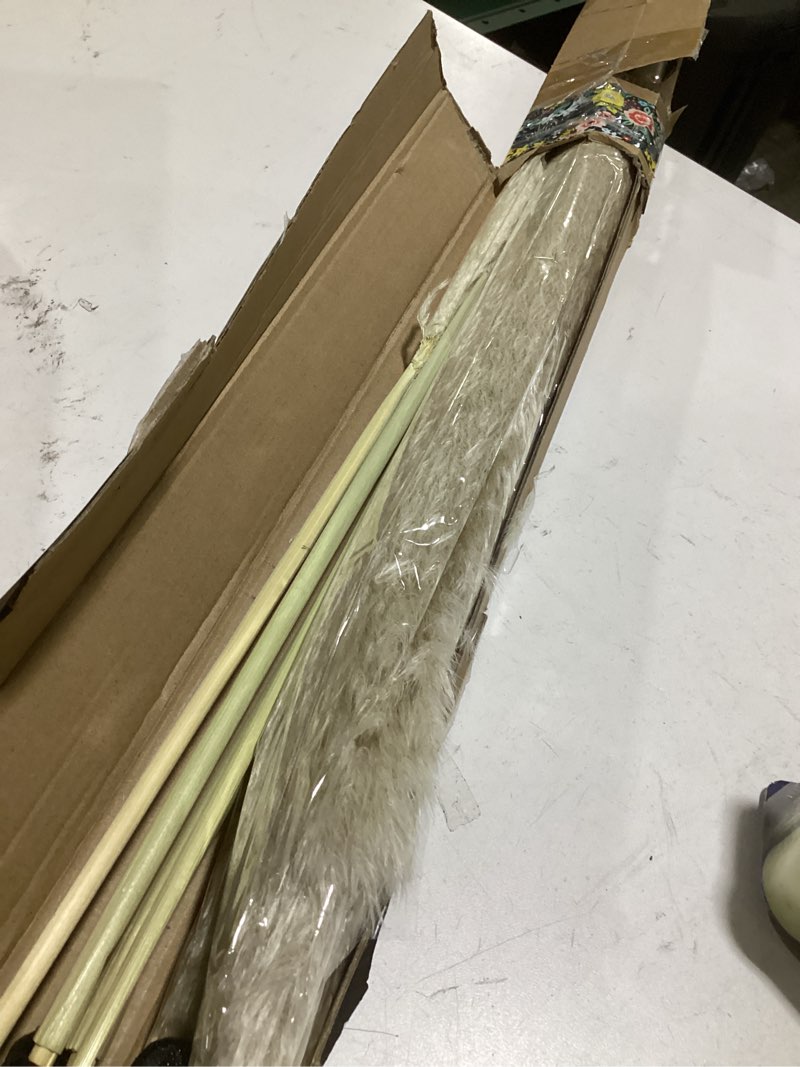 Condition photo showing Good Condition for 10pcs 40'' pampas grass tall decor - pompas floral, tall pampas grass for floor vases, living room floor, floor plants, plumas para, and grass wall decor 10pcs-nature-40"