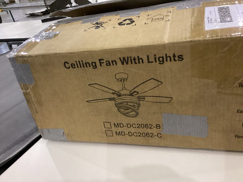 Ceiling Fan With Lights