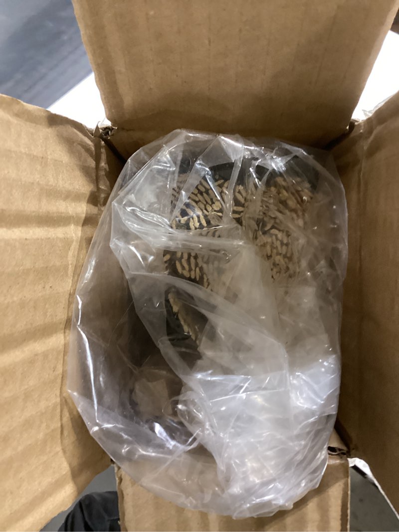 Condition photo showing Good Condition for Cordless Bamboo Roman Shades, Light Filtering Bamboo Blinds Shades for Indoor Windows, UV Protection Roll Up Blinds for Home, Office, 22" W x 64" H, Beige Beige 22"W x 64"H