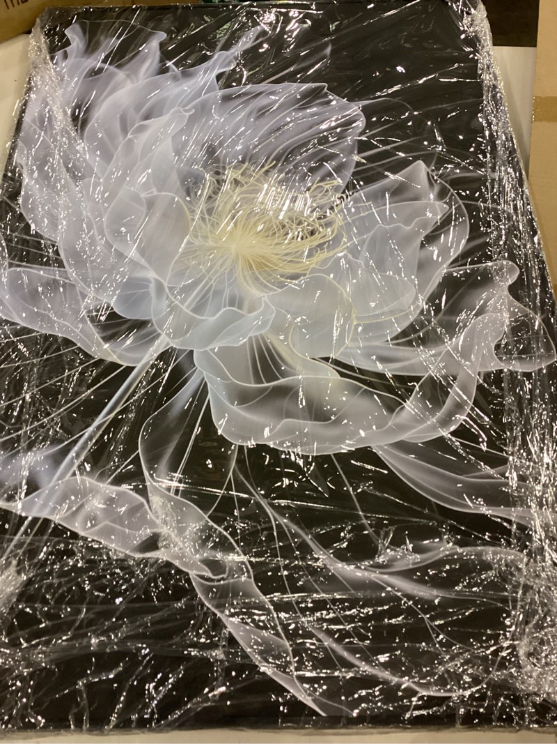 SNAZZIFYLO Peony Painting Wall Art Prints on Canvas, Aluminum Alloy Framed, with Durable Sturdy Backboard