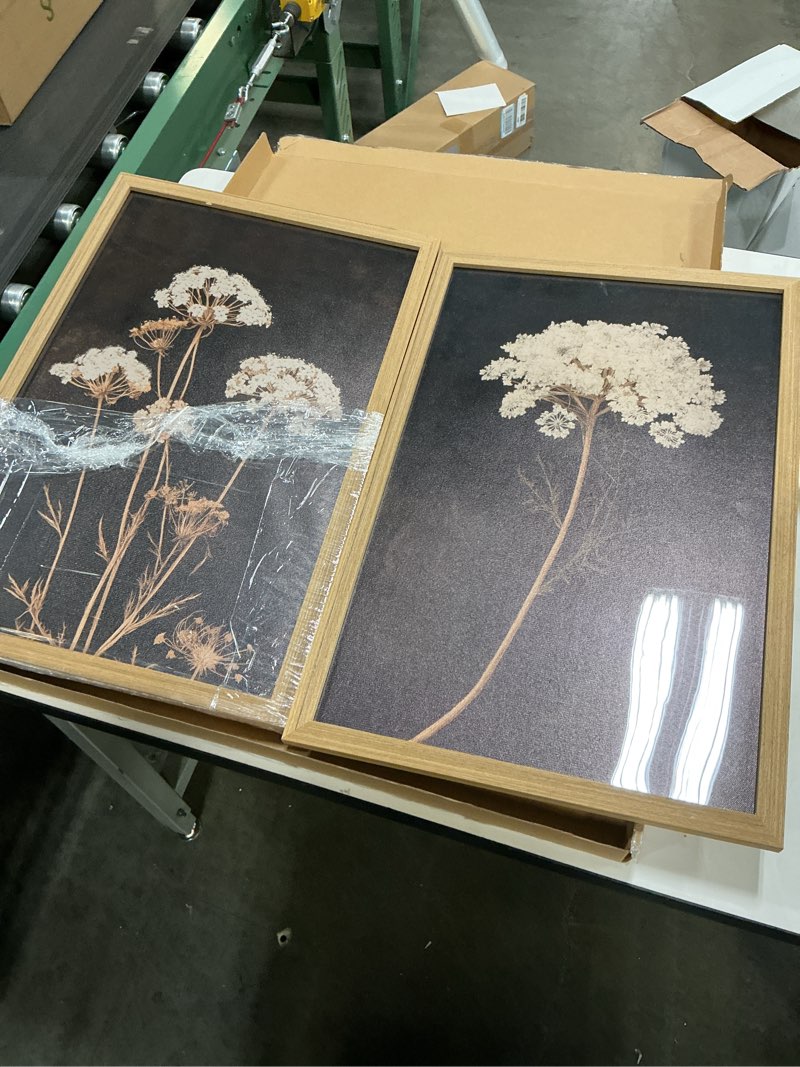 2Pcs Framed Moody Bota…g Roomor Bedroom 16x24in.