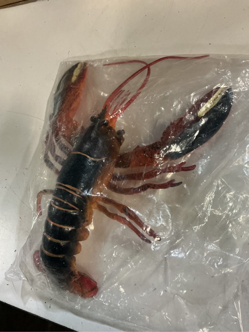 Condition photo showing New/Like New for hiawbon 13 inch realistic lobster figurine plastic lobster | fake lobster model for home desktop decoration 12.99 x 7 x 2.48 inches