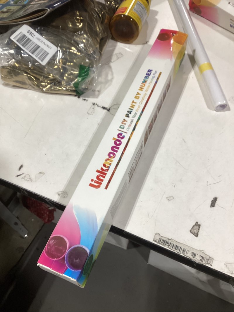 Condition photo showing New/Like New for Linkmonde Kids' Painting by Numbers DIY Acrylic Painting Kit for Kids & Adults Beginner – 16” x 20” Village Cabin Art