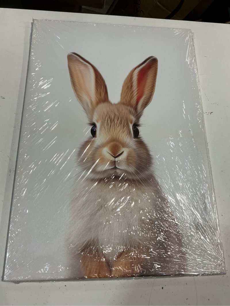 Condition photo showing New/Like New for lyunshuo bunny canvas wall art nursery wall decor cute rabbit picture white poster animal painting minimalism artwork for kids room living room bedroom home decorations - 16.00"x24.00" 24"l x 16"w n - bunny
