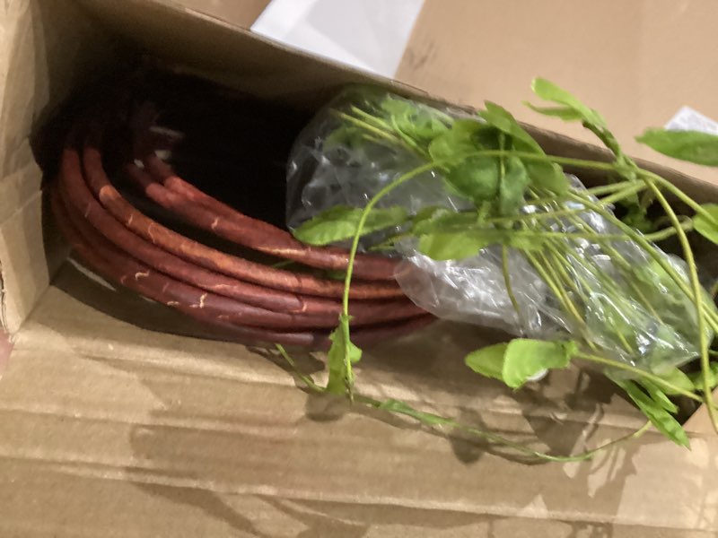 Condition photo showing As Is for Dingion 10 Pcs Artificial Lifelike Curly Willow Branches Decorative Dried Twigs 51 Inches Faux Tree Branches with Leaves Fake Bendable Stick Vintage Vines Stems for DIY Greenery Vase Home Office Decor