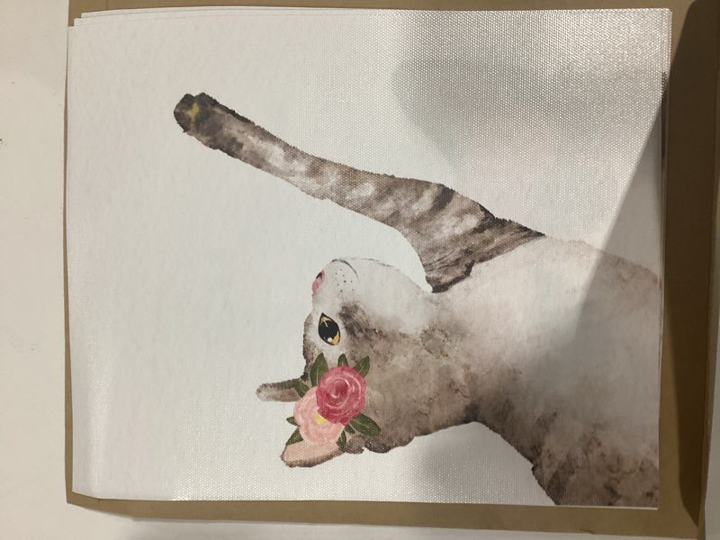 Watercolor Lovely Cat Art Print- Flower Pet Cat Canvas Wall Art-(8”X10”X 4 pcs, Unframed)-Modren Ani