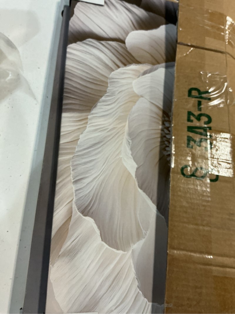 Condition photo showing New/Like New for 3pcs beige floral botanical frame canvas wall art, neutral textured flower plant wall painting picture wall decor vintage blossom posters prints for bedroom living room reay to hang 16"x24"x3pcs flower-white botanical 16"x24"x3pcs