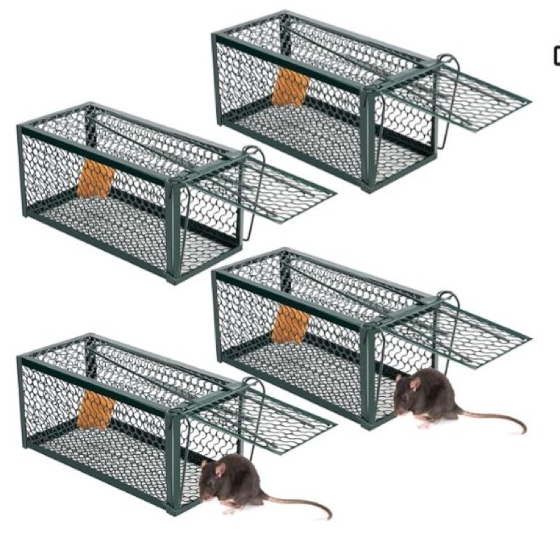 Qualirey 4 Pcs Humane Rat Trap Chipmunk Rodent Mouse Squirrel Trap Small Live Animal Mouse Voles Hamsters Live Cage Rat Cage for Mice Easy to Catch and Release (9.1 x 4.5 x 4.5 Inches,Green)