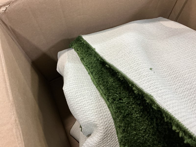 Condition photo showing Good Condition for Wet Grass Rug - Green Grass Classic Handmade Flocked Area Rug - Hypebeast Home Decor Carpet - 4.4 * 6.4ft (133 * 195cm) Living Room Anchor/Bedroom Centerpiece/Home Office - Artistic Premium Floor Mat 4'4" x 6'5" (Rectangular)