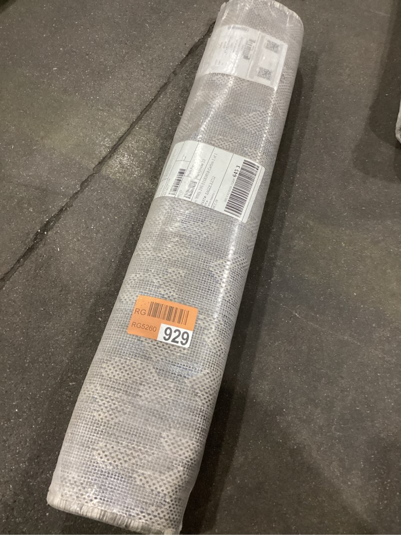 Surya Eagean rug 2’7”x12’