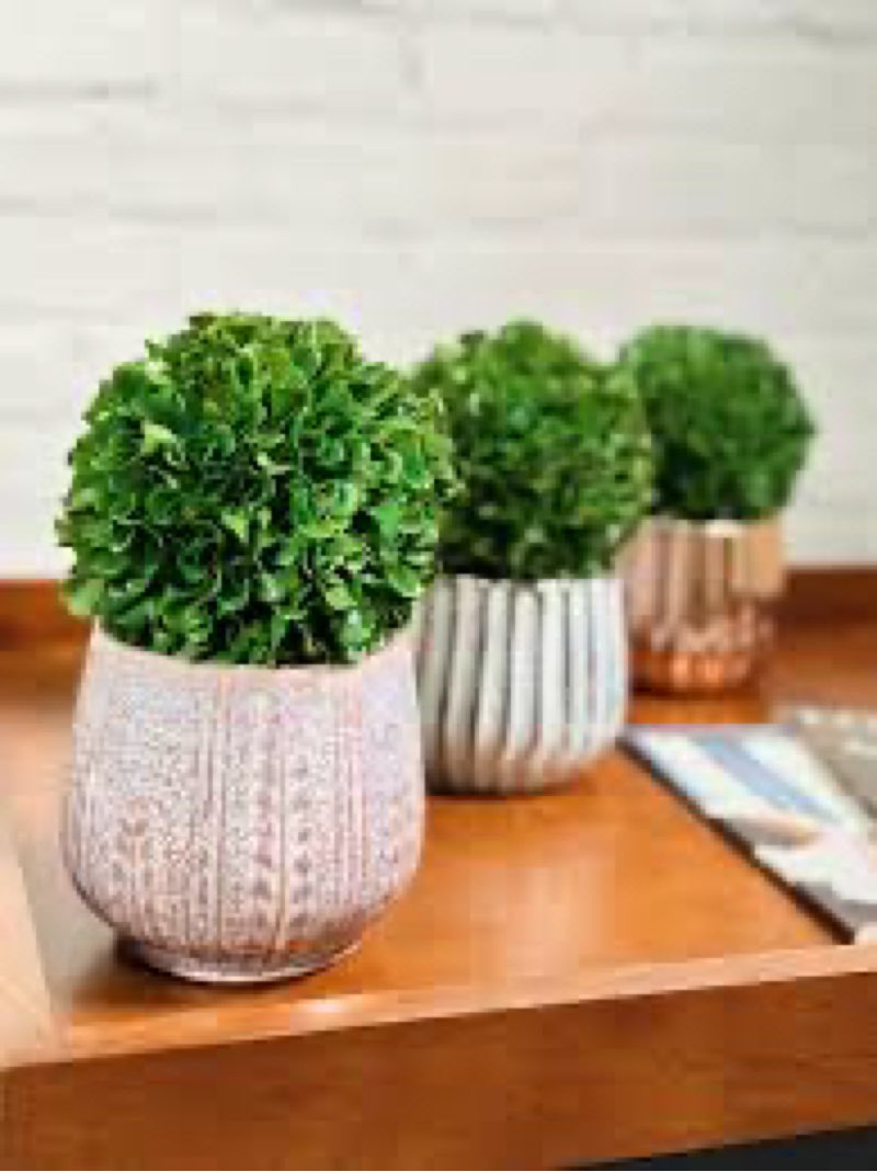 Funzhan 3pcs Artificial Boxwood Topiary Ball Hanging Faux Realistic Natural Garden Boxwood Topiary M