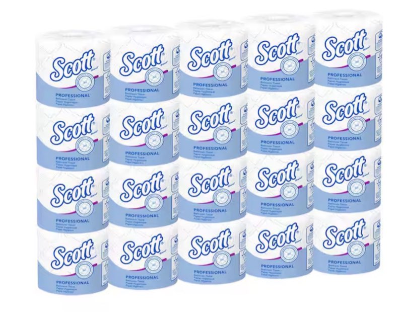 Professional Standard Roll 2-Ply Embossed Bath Tissue (550-Sheets Per Roll 20 Rolls Per Case)