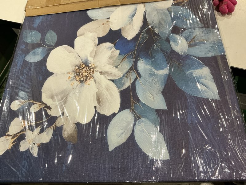 Condition photo showing Good Condition for jlxart framed large flower canvas wall art modern white floral with blue background print for bedroom living room office home decor,20x40inch white floral white 40"l x 20"w