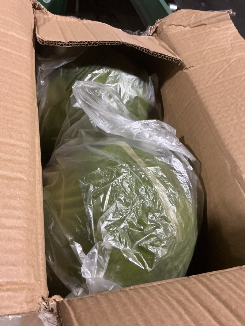 Condition photo showing Good Condition for Lanpn 4 Pcs 8" Large Christmas Ornaments, Oversized Velvet Xmas Tree Ball, Big Flocked Christmas Tree Ornament, Shatterproof Plastic Balls for Lawn Yard Holiday Hanging Decor, Green Green 8"/ 4 pcs
