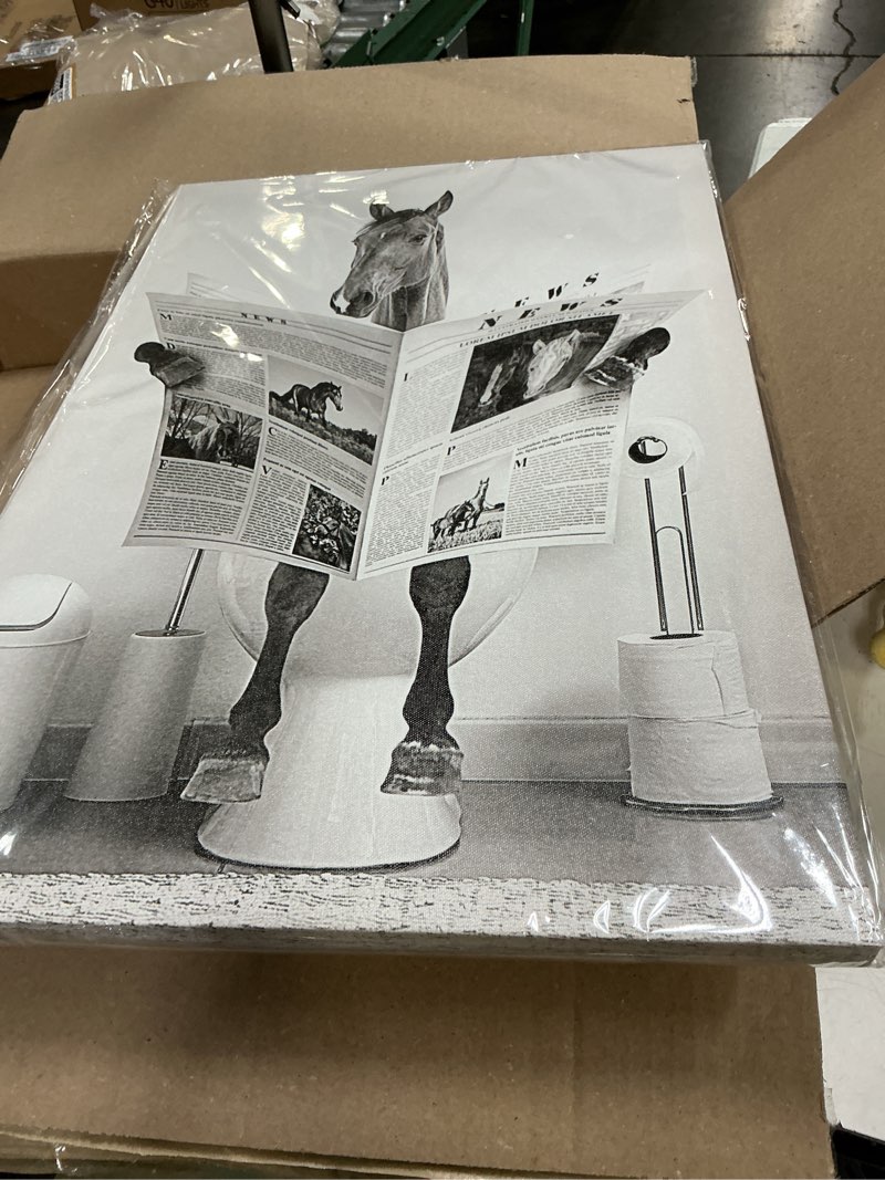 Condition photo showing Good Condition for tigeridge funny horse bathroom canvas wall art black and white fun picture wall decor farmhouse bathroom wall decoration horse sitting on toilet reading newspaper artwork ready to hang 16" x 24" 24"l x 16"w horse bathroom decor